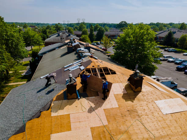 Quick and Trustworthy Emergency Roof Repair Services in Lynchburg, VA