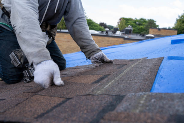 Best Roof Gutter Cleaning  in Lynchburg, VA