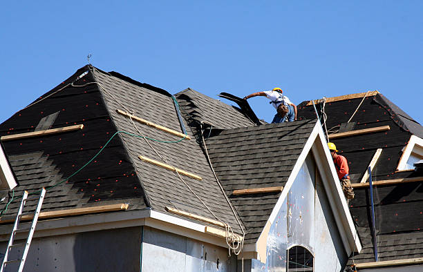 Roof Gutter Cleaning in Lynchburg, VA