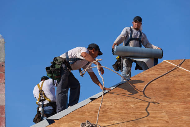 Best Roof Gutter Cleaning  in Lynchburg, VA