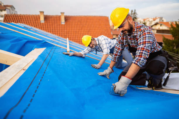 Quick and Trustworthy Emergency Roof Repair Services in Lynchburg, VA