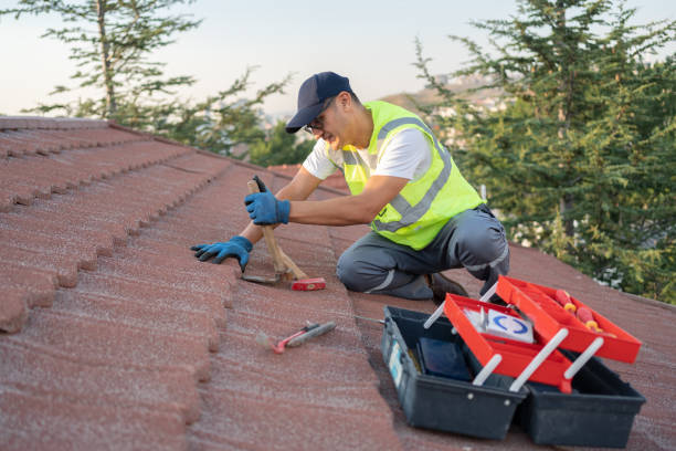 Best Roof Leak Repair  in Lynchburg, VA