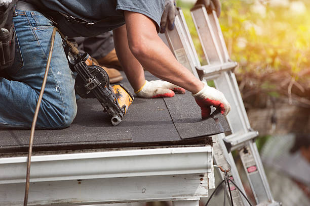 Best Roof Maintenance Services  in Lynchburg, VA